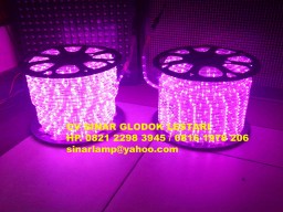 Lampu Selang LED Hias Dekorasi warna Ungu